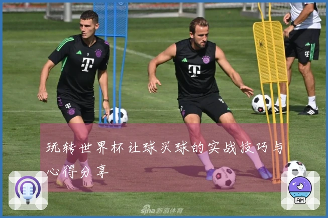 玩转世界杯让球买球的实战技巧与心得分享