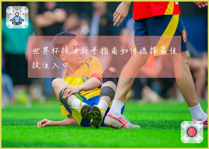 世界杯投注新手指南如何选择最佳投注入口