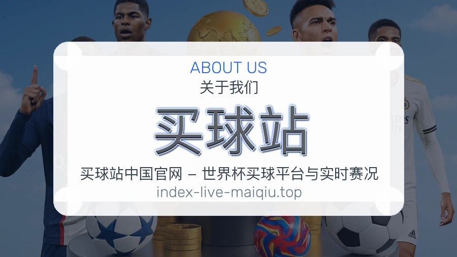 关于 买球站 团队与服务